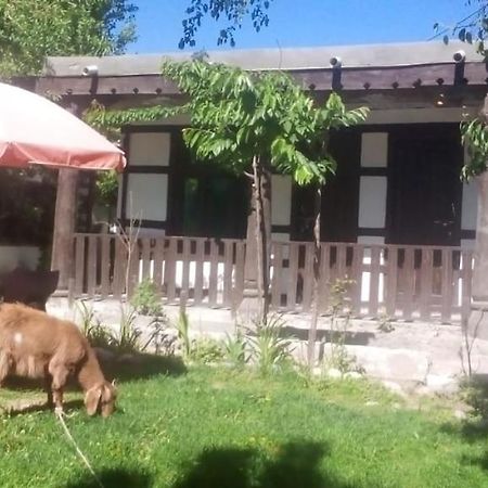 Resort Little Tibet Skardu Eksteriør billede